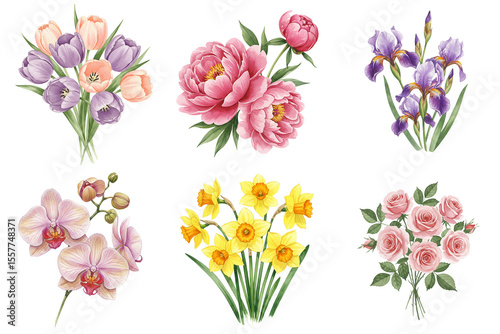 Wallpaper Mural Set of tulips, roses, peonies, orchid, irises, and daffodils in watercolor painting style, muted colors, whimsical and artistic floral composition on transparent background  Torontodigital.ca