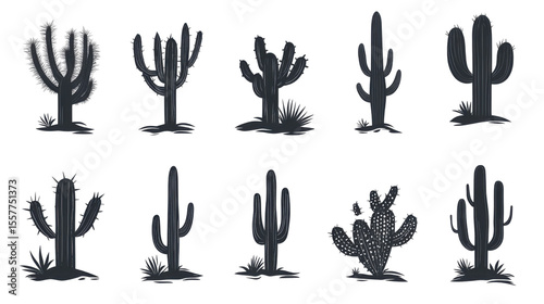a set of different shapes of cactus on white background