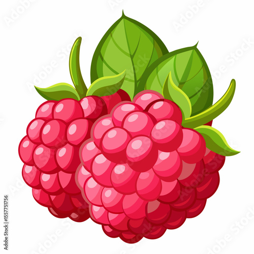 raspberry with leaves