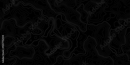  topographic map with contour lines on a dark black background design element contour lines to represent elevation changes terrain details in a minimalist and modern style.