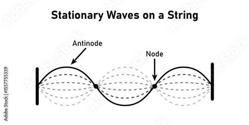 Stationary Waves on a String in Physics.