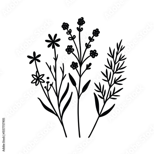 Botanical illustration set delicate line art of assorted plants Vector illustration