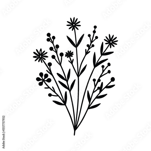 Botanical illustration set delicate line art of assorted plants Vector illustration