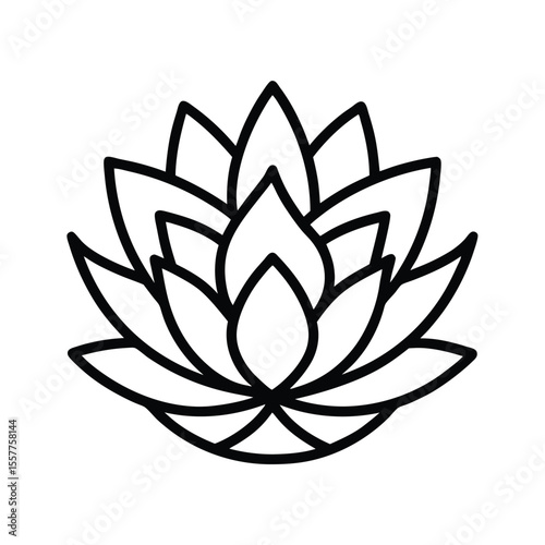 Botanical illustration set elegant line art of assorted botanical designs Vector illustration