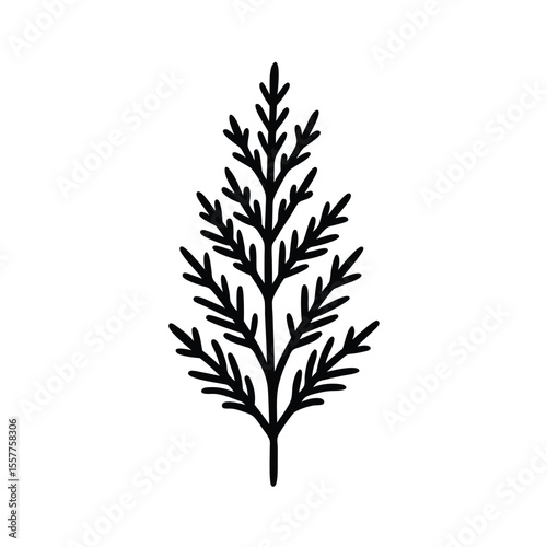 Cedar branch illustration set minimalist line drawing of foliage Vector illustration
