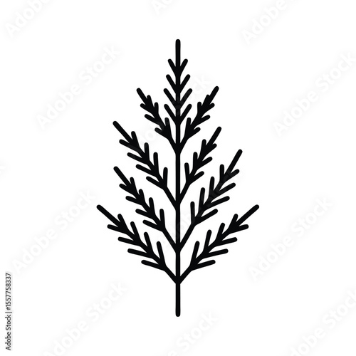 Cedar branch illustration set minimalist line drawing of foliage Vector illustration