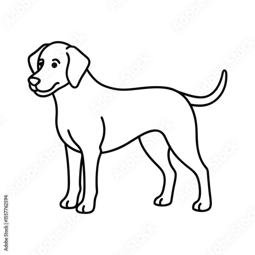 vector illustration of a dog