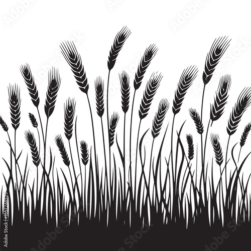 Black Wheat Field Silhouette Vector Agriculture and Harvest Illustration