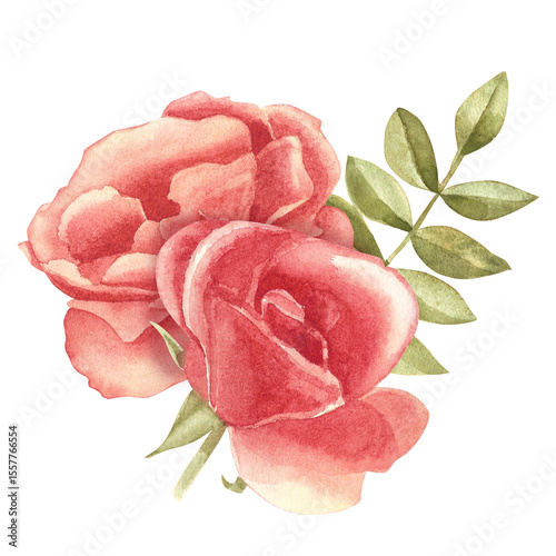 Rosebuds floral composition. Watercolor illustration of a delicate pink roses. Botanical painting of rose bloom and green leaves. Flower bud clipart.