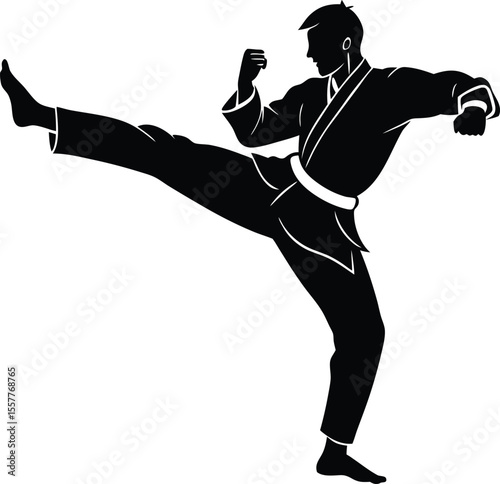 Silhouette of a Martial Artist Performing a Side Kick in Black and White