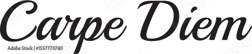 Carpe Diem - vector, seize the day, symbol of living life to the fullest