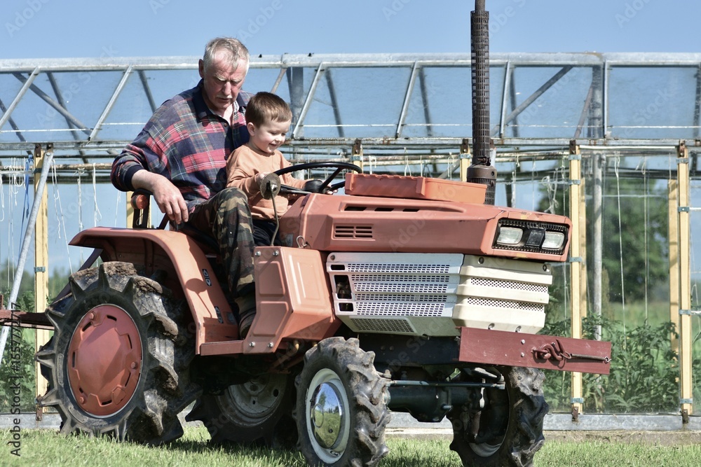 Fototapeta premium Grandfather and grandson riding a small orange tractor together in the countryside. The boy happily holds the wheel while grandpa guides him. Sunny day, bonding moment in rural setting.