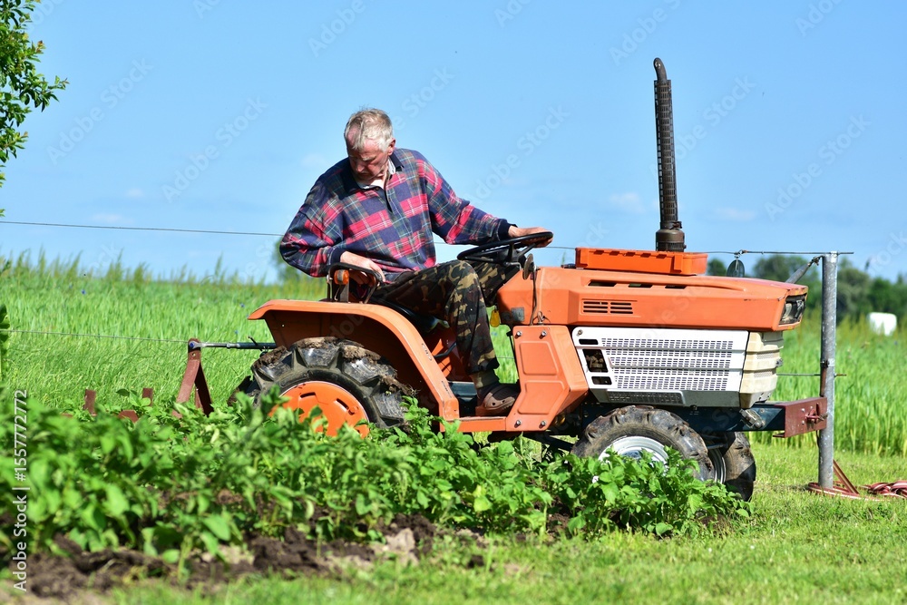 Obraz premium Senior farmer on compact orange tractor cultivating crops in lush green field. Summer agricultural work in rural area. Scene of tradition, labor, and nature.