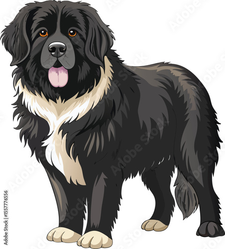 american newfoundland dog vactor