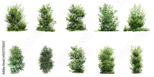 Green Bushes And Shrubs Watercolor Side View Set. Landscape Architecture And Garden Design Element Collection. Isolated Vector Illustration