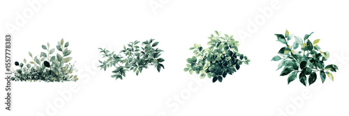 Wallpaper Mural Green Foliage And Bushes Watercolor Illustration Set. Garden And Landscape Design Element Collection. Botanical And Eco-Friendly Use. Isolated Vector Illustration Torontodigital.ca