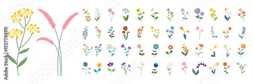 Collection of colorful wildflower and botanical illustration elements. Flat flower set