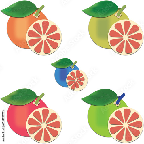 Citrus Fruit Clipart, Grapefruit Style Vector Illustration
