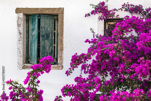 Beautiful colorful windows with flowers in Corfu island, Greece