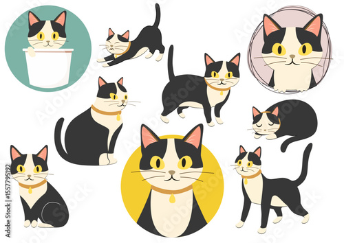 いろいろなポーズのハチワレ猫セット、Tuxedo Cat in Various Cute Poses