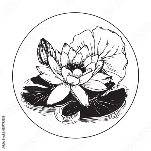Lily pad flower on pond surface concept art
