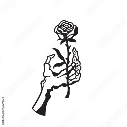 Skeleton hand holding single red rose on white