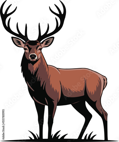 Majestic stag illustration standing proudly in a brown and black vector graphic on white