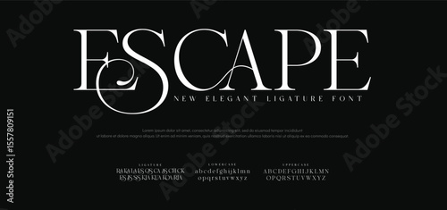 Escape Classy elegant font, vintage type or luxury premium typeface, vector English royal alphabet. Classic typography in modern or old art deco style, serif letters for modern or retro poster font
