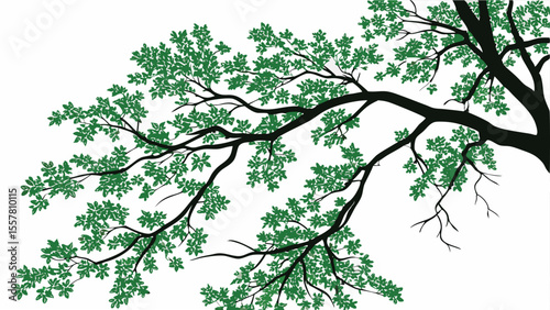 A detailed illustration of a large tree branch with lush green leaves against a clean white background silhouette