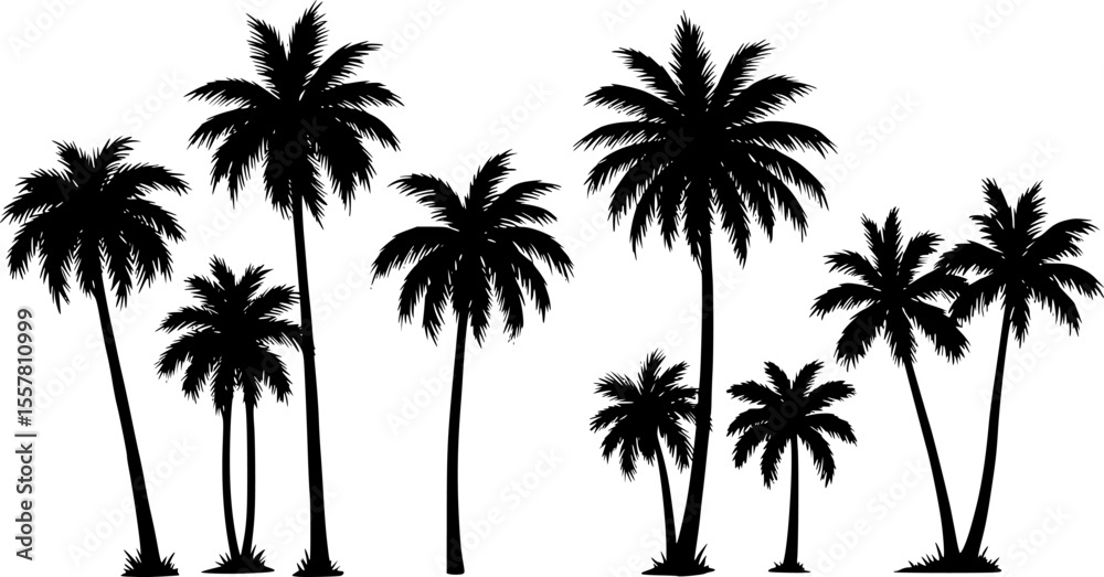 Obraz premium Silhouettes of palm trees