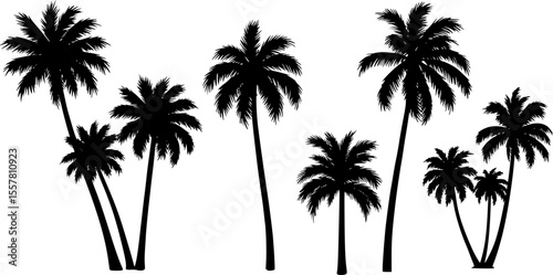Silhouettes of palm trees