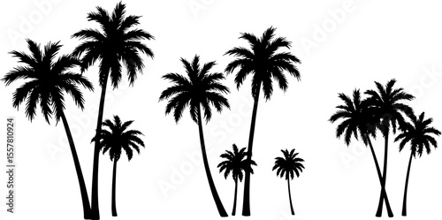 Silhouettes of palm trees