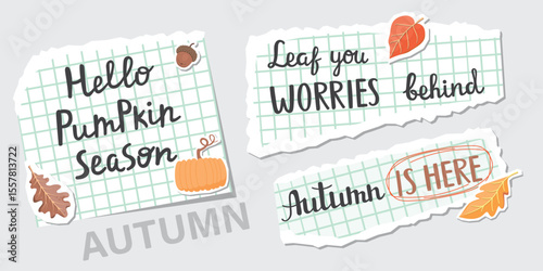 Autumn lettering on torn sheets. Pieces of squared paper, hand-written phrases, leaves, pumpkin and acorn. Collage elements set isolated on grey background. Vector design for banner, card, poster.