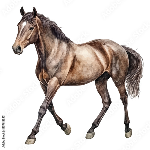 Horse, watercolor drawing vector, isolated on a white background.