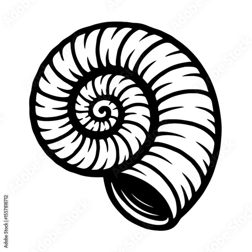 Elegant Black and White Nautilus Shell Spiral Pattern Vector Illustration