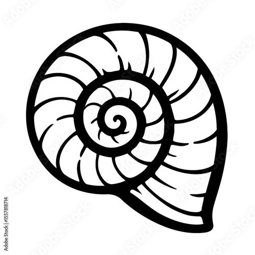 Elegant Black and White Nautilus Shell Spiral Pattern Vector Illustration