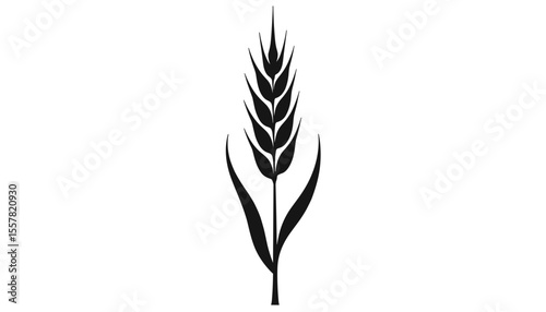 Illustration of a wheat spike in a minimalist style with leaves on a white background, copy space
