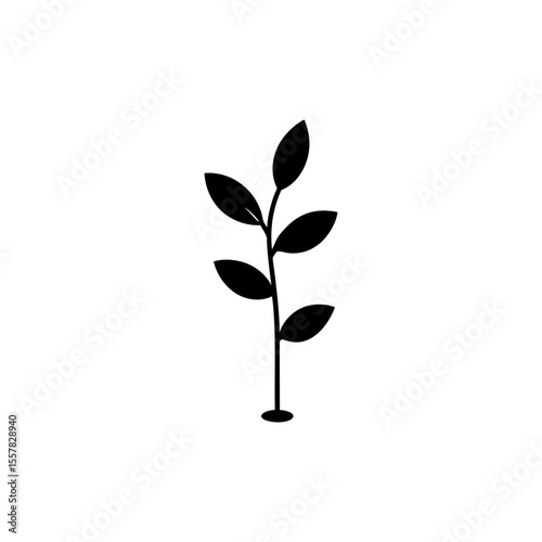 tree  silhouette on transparent background