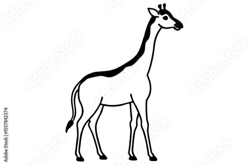 Giraffe vector illustration isolated on white, a cute cartoon wild mammal design