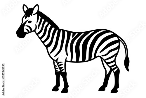 Striped zebra mammal with black and white stripes, a wild animal, isolated on a white background in a vector illustration