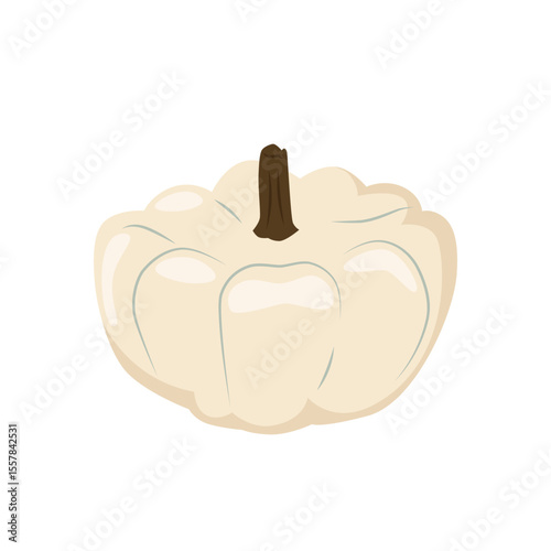 Patisson, squash vegetable icon. Fresh natural healthy food, farm gourd. Organic vitamin ingredient.