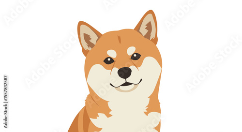 Illustration of a shiba inu dog with orange and white fur looking directly at the viewer on white background