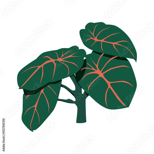 Green leaves, foliage plant with red veins. Leafy composition, fresh tropical exotic leaf, botanical decoration.
