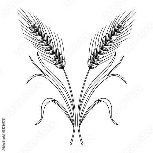 Wheat ears in minimalistic black and white design  