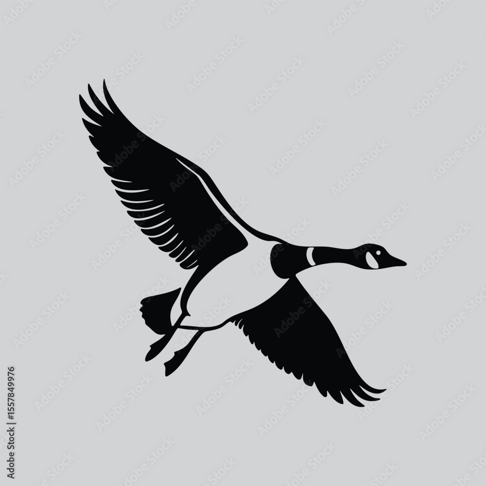 Obraz premium Canada Goose in Flight Art