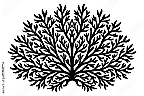 Intricate Coral Artwork with Graceful Spreading Shapes