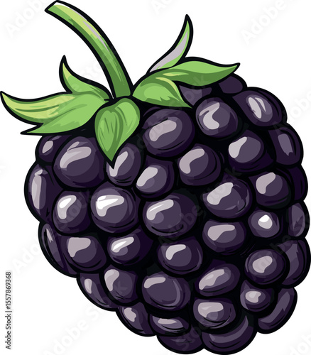 vector illustration of a blackberry