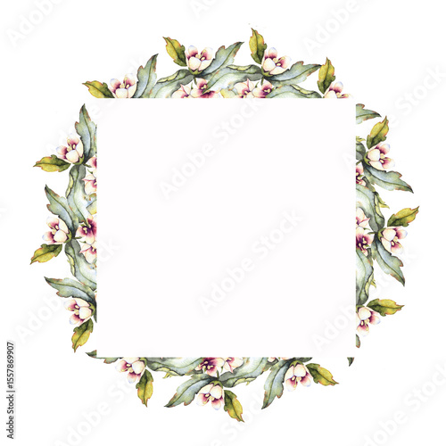 Photos Watercolor illustration poisonous henbane with flowers and green leaves frame