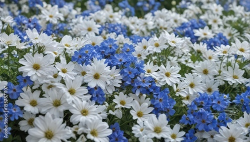 Abundant blue & white flowers, vibrant floral scene, floral, flower pattern