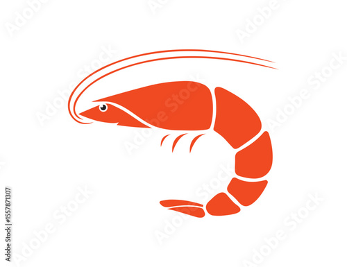 Fresh Shrimp Vector Drawing for Food Design
